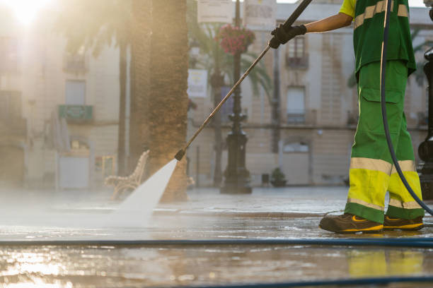 Best Exterior Home Cleaning  in Salina, UT